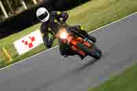 Evening Low_Mid Group Orange Bikes
